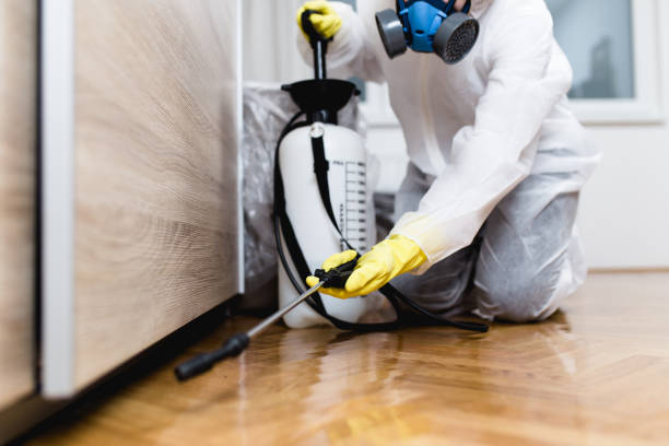 Reliable Freeland, MI Pest Control Solutions
