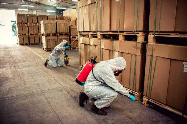 Best Mosquito Control Services  in Freeland, MI