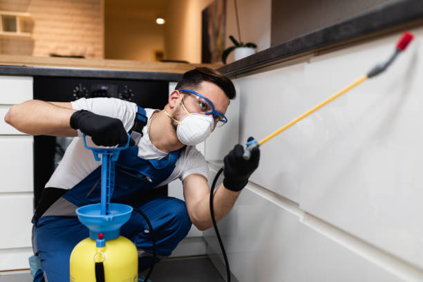 Flea Control Services in Freeland, MI