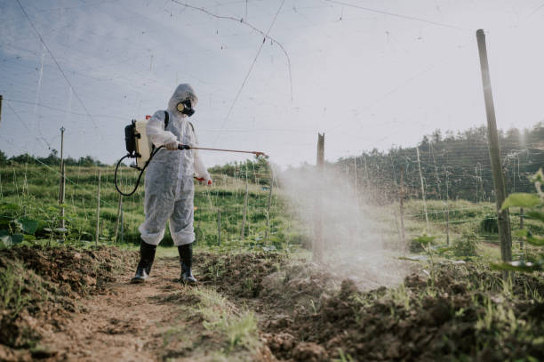 Pest Prevention Services in Freeland, MI