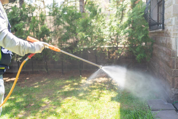 Best Pest Prevention Services  in Freeland, MI