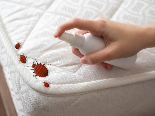 Best Pest Prevention Services  in Freeland, MI