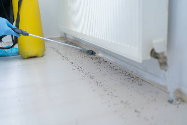 Best Residential Pest Control  in Freeland, MI